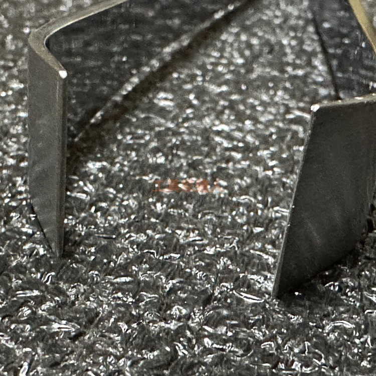 「工具家達人」 現貨 日本製 仙武堂 關東型 魚骨夾 魚刺夾 骨夾 魚刺夾 骨拔 拔毛夾 豬毛夾-細節圖5