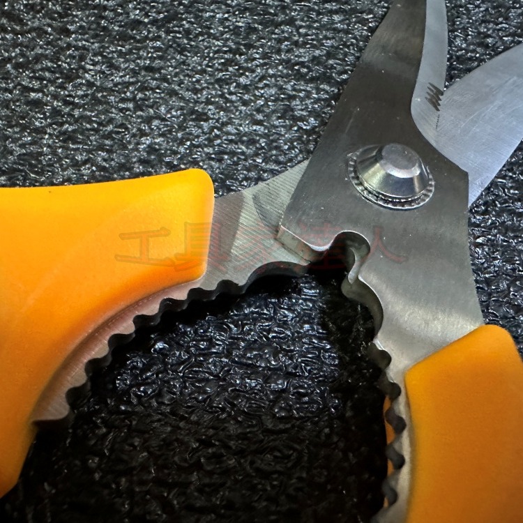 「工具家達人」 廚房剪刀 雞排剪刀 園藝剪刀 多功能剪刀 不鏽鋼全鋼 剪刀 食材剪刀 可拆式 廚房專用剪刀 台灣製-細節圖3