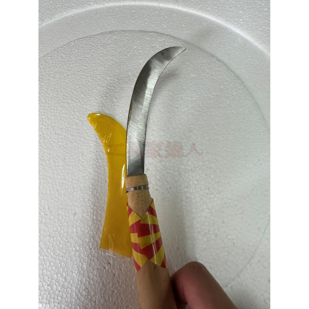 西德鋼 香蕉刀 鐮刀 西德綱香蕉刀 6029 木柄香蕉刀 白菜刀 削果刀 削皮刀 彎刀 割菜 採收 蔬果 摘果 蕉刀-細節圖3