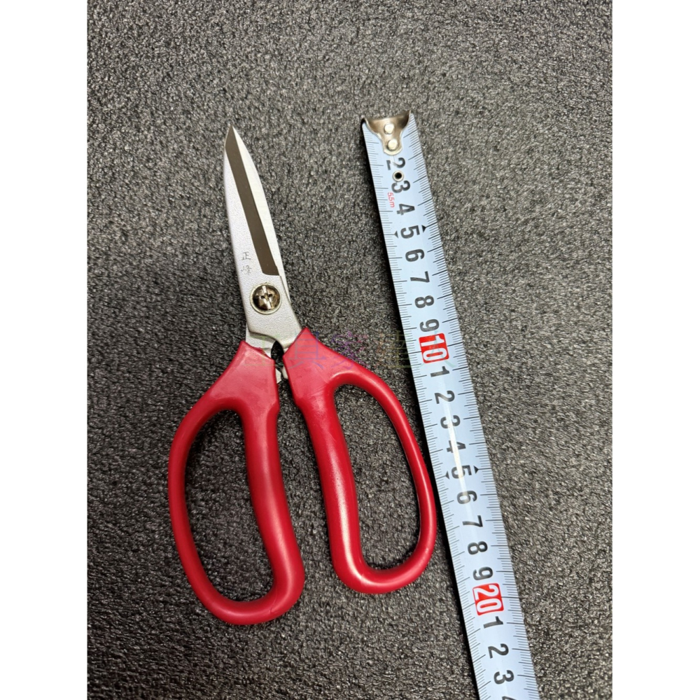「工具家達人」 藍 紅柄剪刀 厚 料理剪 廚房剪刀 不鏽鋼剪 剪雞肉雞排 食品用剪刀 肉品工廠 正鋒 市場攤販愛用-細節圖4