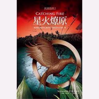 飢餓遊戲 星火燎原 自由夢幻 蘇珊 柯林斯 大塊文化 翻譯小說 高年級 青少年讀本 小說 閱讀素養 閱讀心得-細節圖2