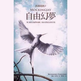 飢餓遊戲 星火燎原 自由夢幻 蘇珊 柯林斯 大塊文化 翻譯小說 高年級 青少年讀本 小說 閱讀素養 閱讀心得-細節圖3