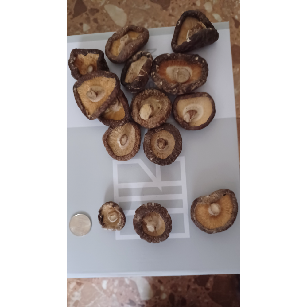 南投埔里香菇一斤600克700元-細節圖2