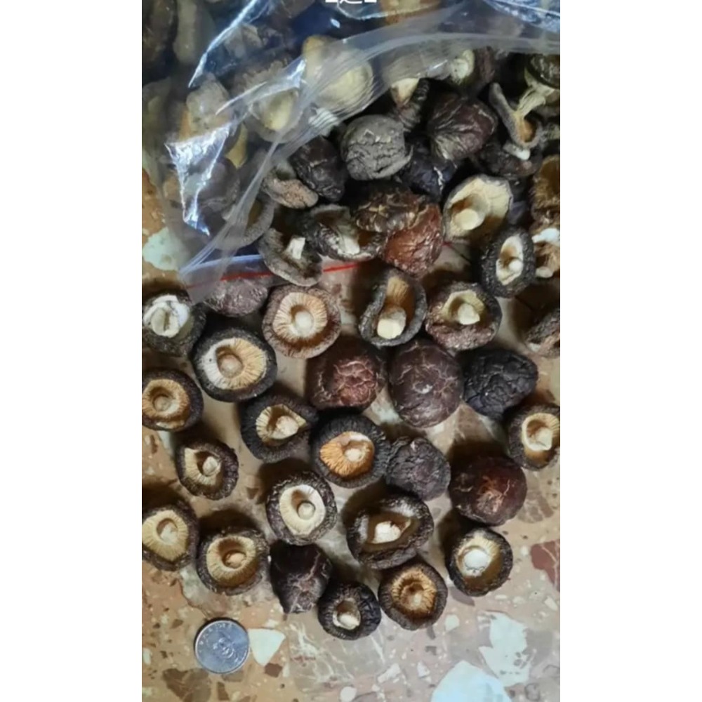 埔里香菇-細節圖2