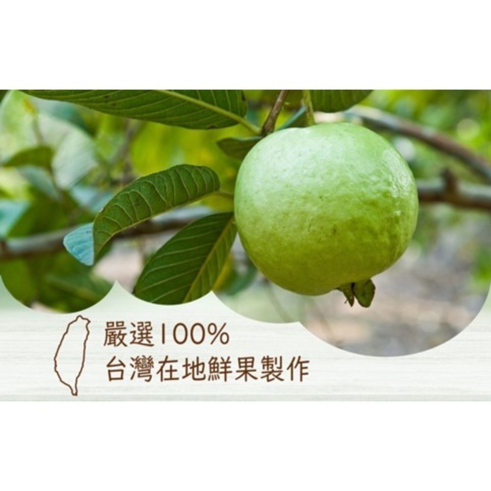 宏旺果鋪 l 甘草調味 l 珍珠芭樂果乾 l 台南官田、玉井 l 在地小農手作外銷日、韓芒果乾 l 當日出貨-細節圖3