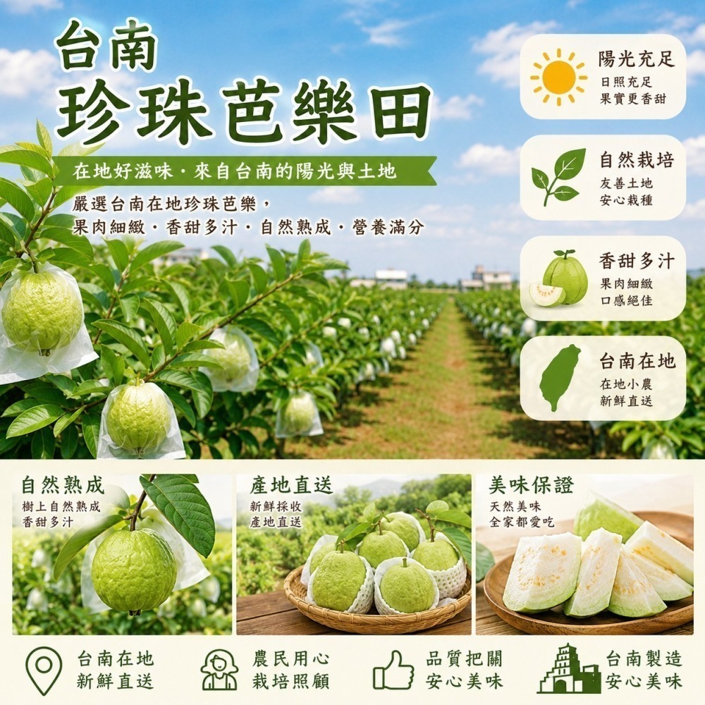 芭樂乾｜珍珠芭樂果乾 甘草口味｜台灣珍珠芭樂｜Q彈果乾｜休閒零食｜伴手禮｜團購美食-細節圖3