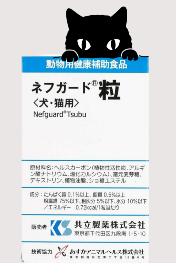 日本共立製藥 Nefguard 活腎碳 錠狀 90錠 腎臟保健