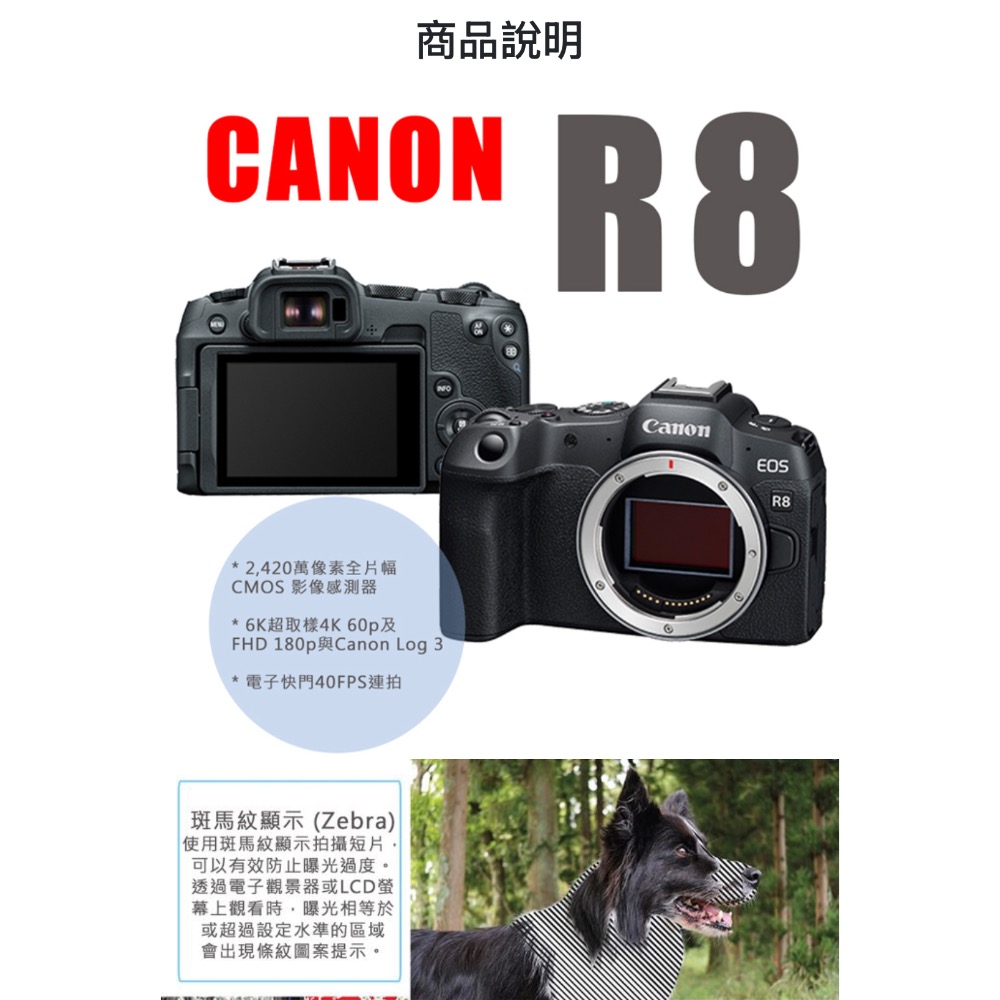 【Canon】EOS R8 body+RF24-240mm f4-6.3 IS USM-(平行輸入)-細節圖2