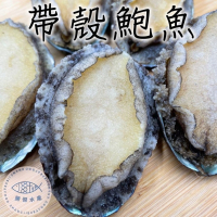 【勝傑水產】20粒帶殼鮑魚1KG*2包