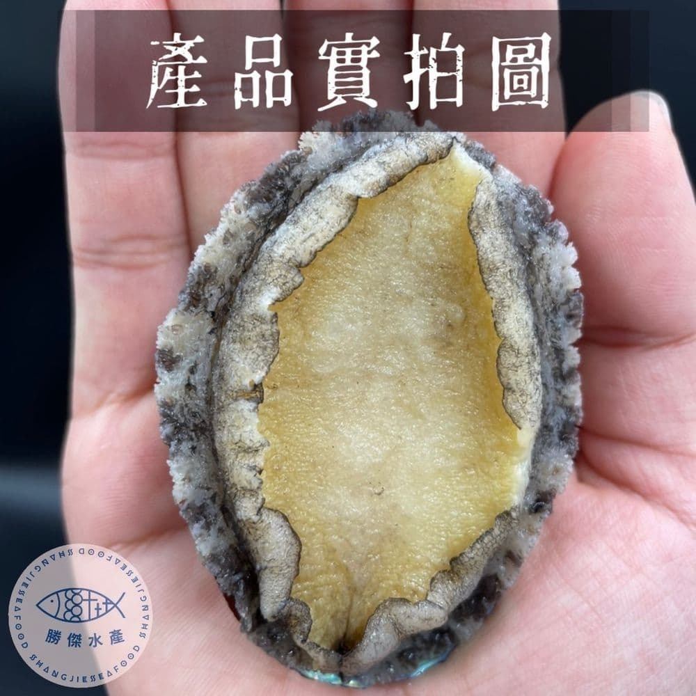 【勝傑水產】20粒帶殼鮑魚1KG*2包-細節圖3