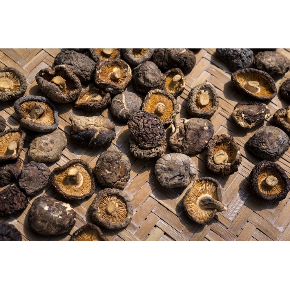 【新社農會】豐香菇-小中菇-70g-包 (2包組)-細節圖2