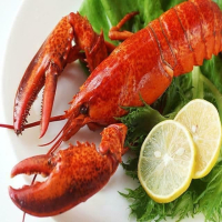 【海之醇】波士頓熟凍螯龍蝦-2隻組(450g±10%/隻)