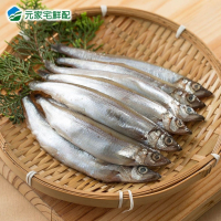 【元家】北歐爆卵柳葉魚(300g/包) 4入組免運組