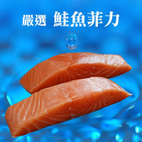 【海之醇】挪威去刺去鱗鮭魚菲力-3組6包(淨重250g/組/2包)