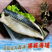 【海之醇】挪威薄鹽鯖魚-16片組(160g/片)