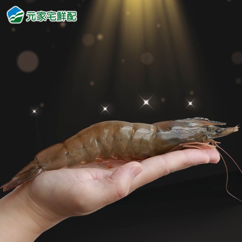 【元家】特大鮮甜白蝦 2盒組 (800g±10%/盒 約8-16尾)-細節圖2