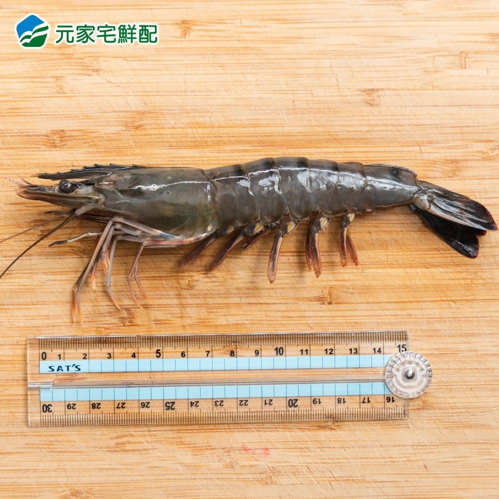 【元家】霸王極鮮大草蝦4盒(270g/盒，約8尾)免運組-細節圖6