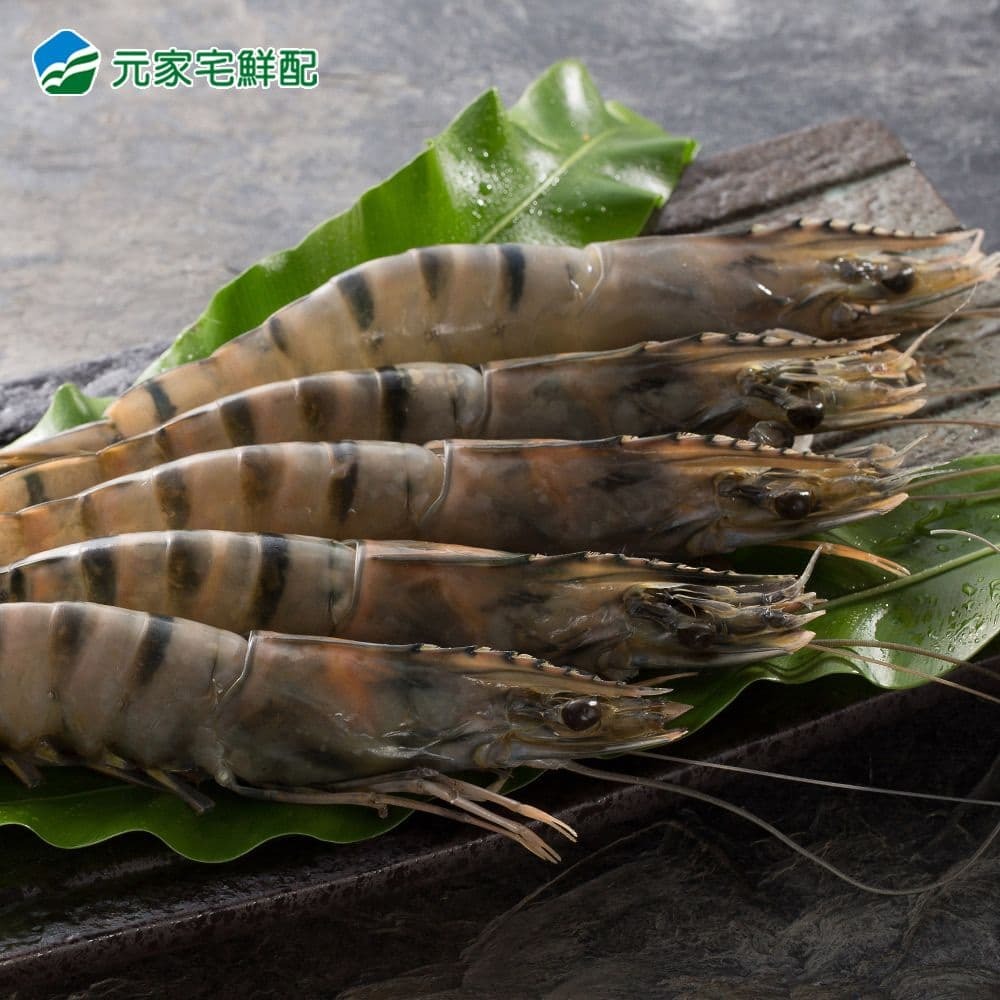 【元家】霸王極鮮大草蝦4盒(270g/盒，約8尾)免運組-細節圖8