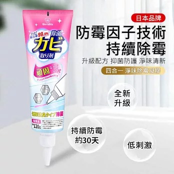 【日本World Life】新升級 四合一淨味除霉凝膠 除霉膏120g x3入-細節圖3