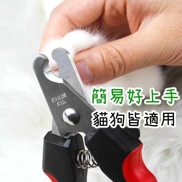 【香蕉生活館】💎 寵物指甲剪 寵物美容剪 寵物美容工具包 指甲剪 指甲刀 寵物剪刀 寵物指甲剪 寵物電動指甲剪-細節圖5