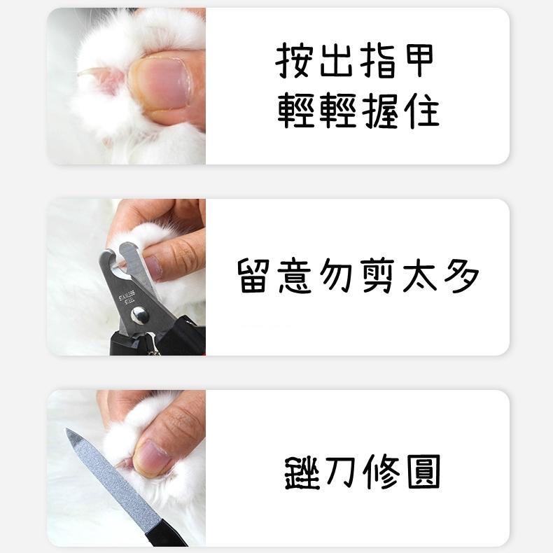 【香蕉生活館】💎 寵物指甲剪 寵物美容剪 寵物美容工具包 指甲剪 指甲刀 寵物剪刀 寵物指甲剪 寵物電動指甲剪-細節圖6