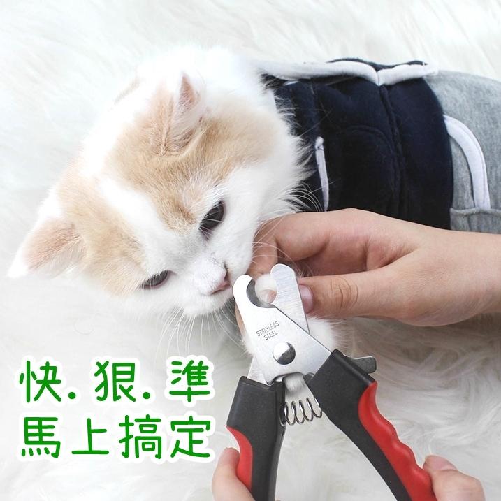 【香蕉生活館】💎 寵物指甲剪 寵物美容剪 寵物美容工具包 指甲剪 指甲刀 寵物剪刀 寵物指甲剪 寵物電動指甲剪-細節圖7