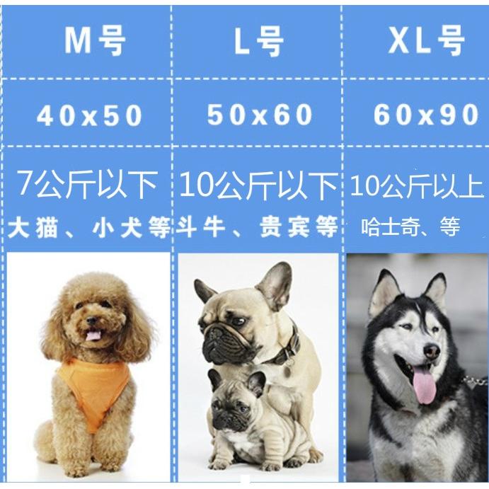 【香蕉生活館】❤️新型可愛冰墊 寵物冰墊 寵物涼墊 狗床 貓床 狗墊 貓墊 狗狗涼墊 貓咪涼墊 寵物床 寵物墊 寵物窩-細節圖3