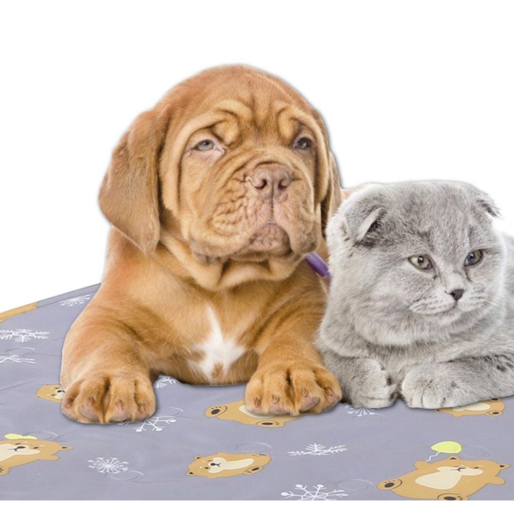 【香蕉生活館】❤️新型可愛冰墊 寵物冰墊 寵物涼墊 狗床 貓床 狗墊 貓墊 狗狗涼墊 貓咪涼墊 寵物床 寵物墊 寵物窩-細節圖4