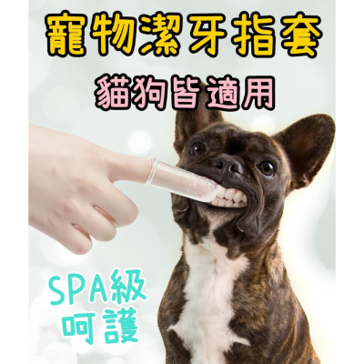 【香蕉生活館】💎 寵物牙刷 指套牙刷 狗牙刷 手指套 狗狗洗牙 小手指套 潔牙套 狗牙膏 狗狗牙膏 寵物牙膏