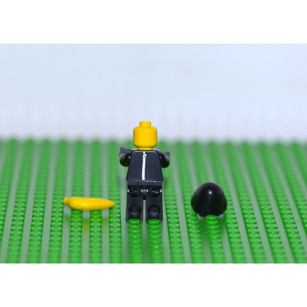 樂高 動物人/8803/71021/71034/71025/-細節圖2