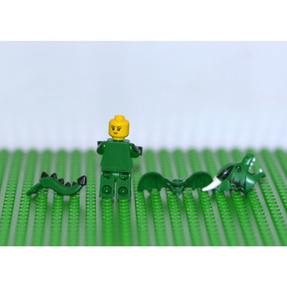 樂高 動物人/8803/71021/71034/71025/-細節圖4