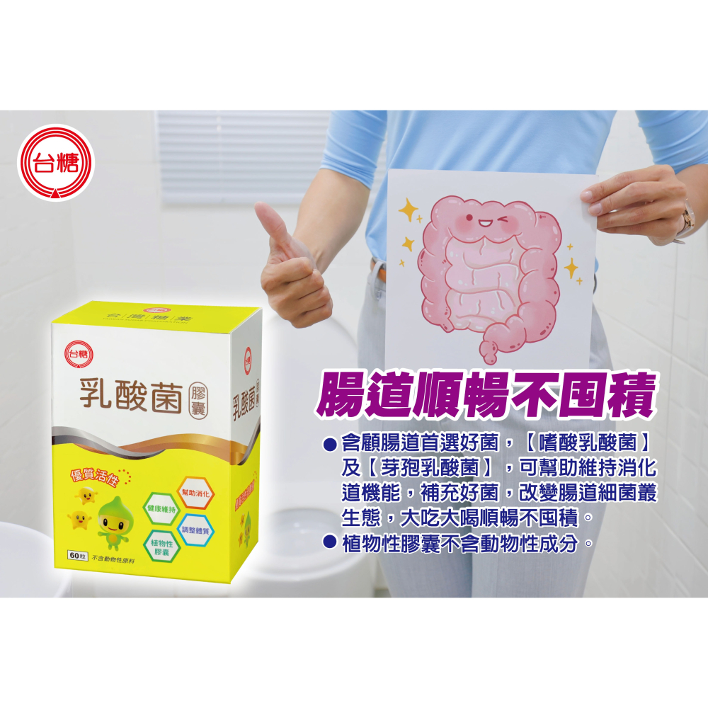 【台糖】台糖乳酸菌(60粒/盒)-細節圖2