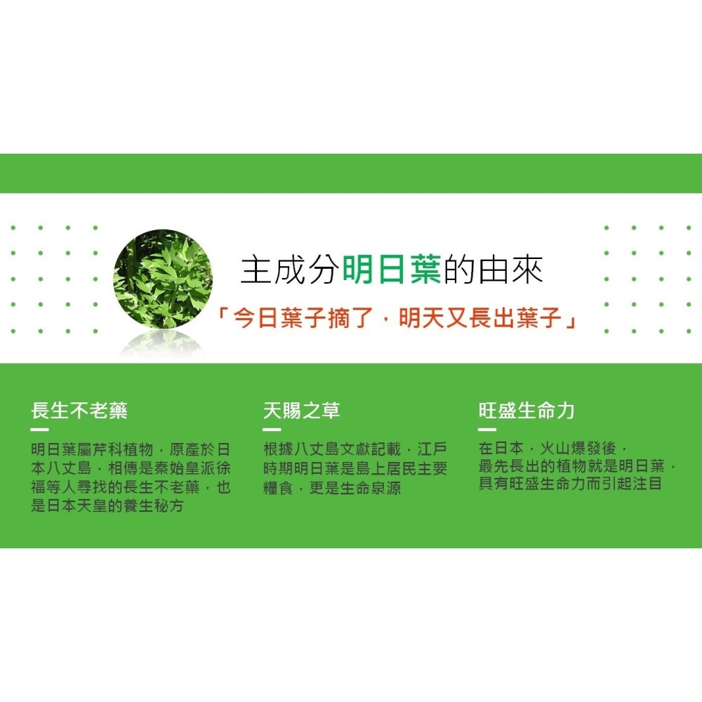 【美好人生】明日葉精力湯(30gx30包/盒)-細節圖2