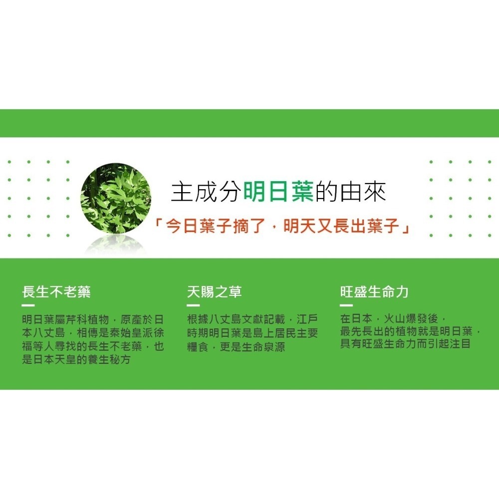 【美好人生】明日葉精力湯(30gx30包/盒)-細節圖2