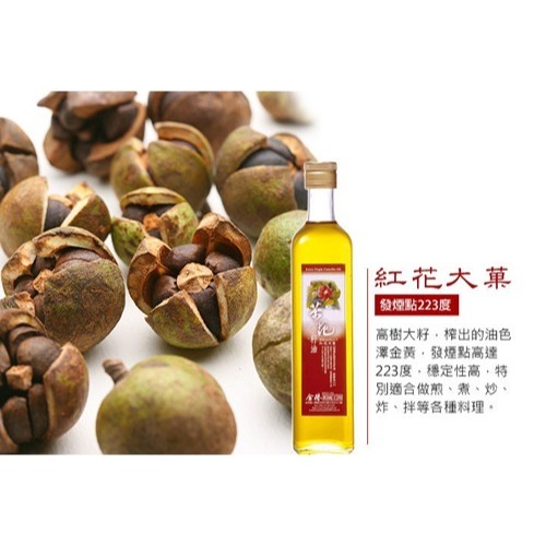 【金椿】紅花大菓 茶花籽油(150ml/500ml)-細節圖2