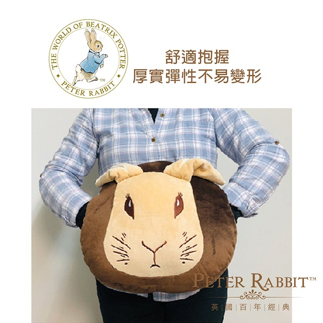 【PETER RABBIT】比得兔造型暖手枕 暖手枕 插手枕 暖手抱枕 趴睡抱枕 可愛枕頭 抱枕 靠墊 小枕頭 午睡枕-細節圖4