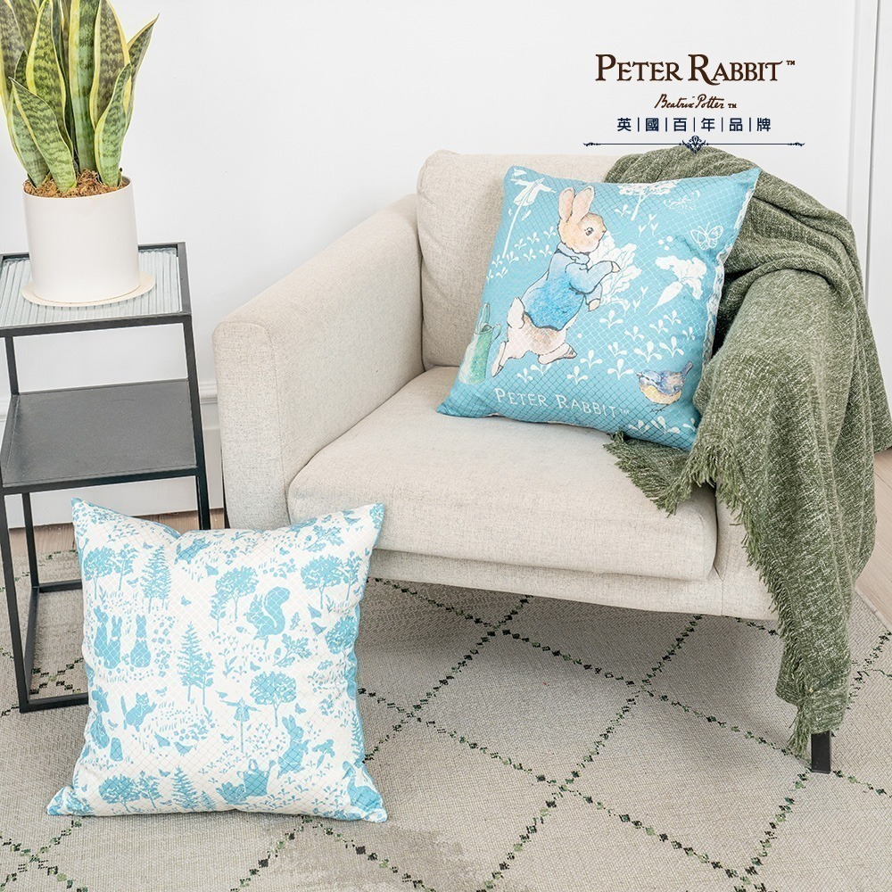 【PETER RABBIT】比得兔田園趣抱枕- 2 色可選 比得兔抱枕 抱枕 靠枕 靠墊 午安枕 沙發靠枕-細節圖2