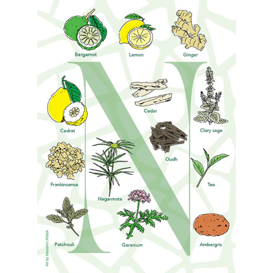 單瓶6折🎟️多件36折=2412 | Neela Vermeire Creations Nemus 50ML-細節圖2