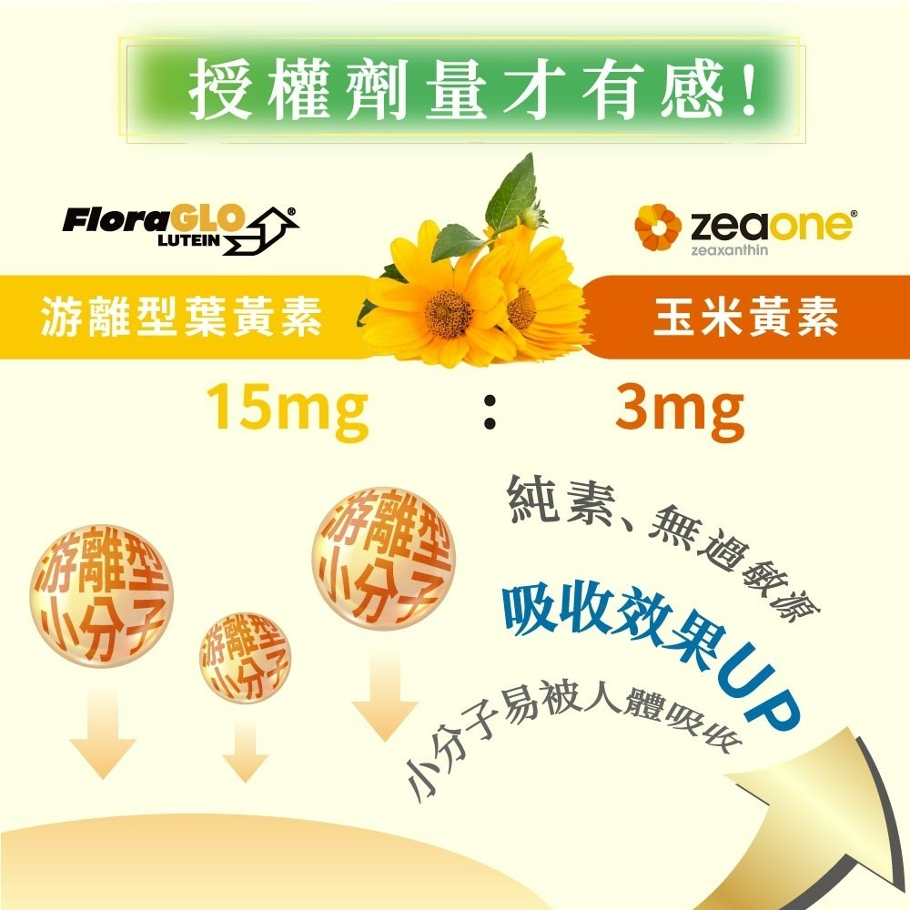 Finetech釩泰 金盞花葉黃素 30顆/包 30日份 15mg游離型葉黃素 3mg玉米黃素 維生素E 機能保健食品-細節圖3