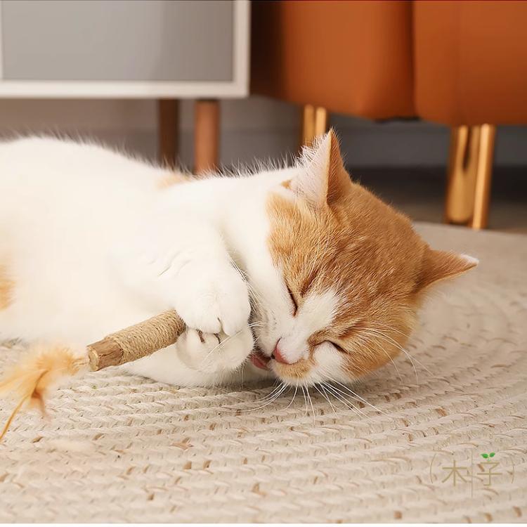 現貨｜6款｜貓玩具 木天蓼 蟲癭果 逗貓 磨牙 清潔齒垢 紓壓 解悶玩具 寵物玩具 啃咬玩具 木子購物屋-細節圖6