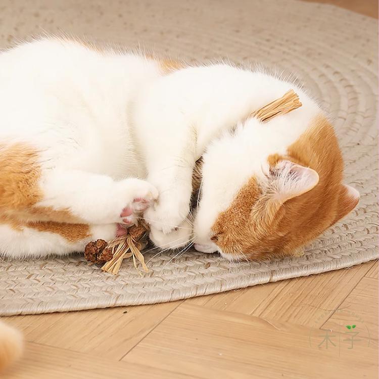 現貨｜6款｜貓玩具 木天蓼 蟲癭果 逗貓 磨牙 清潔齒垢 紓壓 解悶玩具 寵物玩具 啃咬玩具 木子購物屋-細節圖7