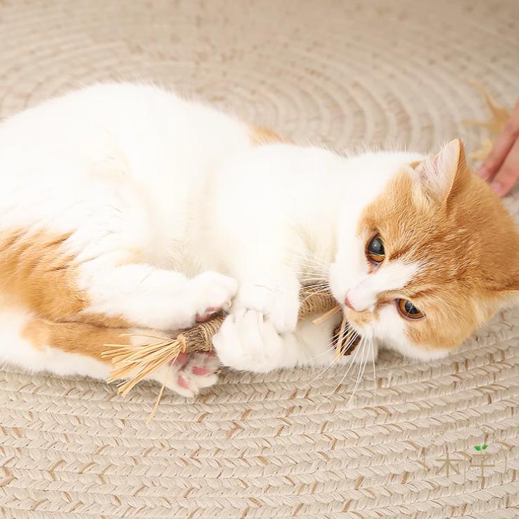 現貨｜6款｜貓玩具 木天蓼 蟲癭果 逗貓 磨牙 清潔齒垢 紓壓 解悶玩具 寵物玩具 啃咬玩具 木子購物屋-細節圖8