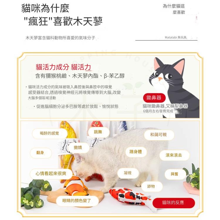 現貨｜6款｜貓玩具 木天蓼 蟲癭果 逗貓 磨牙 清潔齒垢 紓壓 解悶玩具 寵物玩具 啃咬玩具 木子購物屋-細節圖11