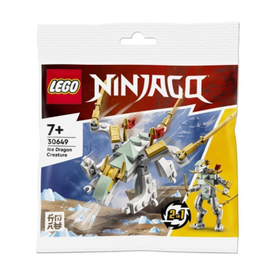 【椅比呀呀|高雄屏東】LEGO 樂高 30649 冰龍 Ice Dragon Creature Polybag 袋裝