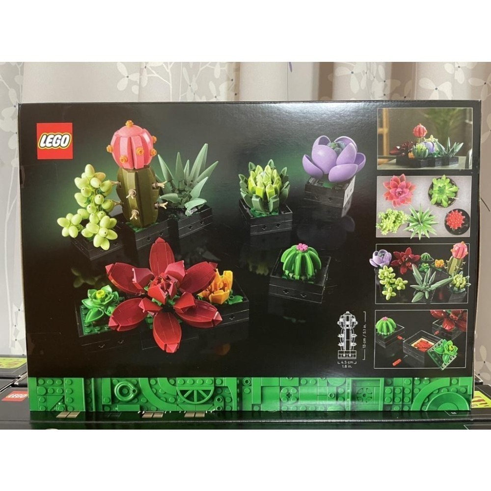 【椅比呀呀|高雄屏東】LEGO 樂高 10309 多肉植物 Succulents 花藝收藏-細節圖2