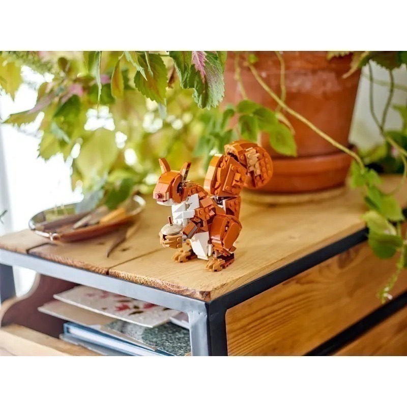 【椅比呀呀|高屏1250】LEGO 樂高 31154 創意百變3合1系列 森林動物：紅狐狸 Forest Animals-細節圖5