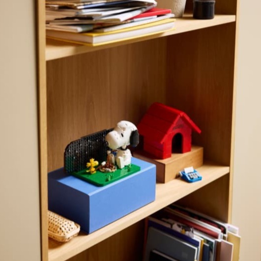 【椅比呀呀|高屏2350】LEGO 樂高 LEGO 21368 花生漫畫：史努比的狗屋 Peanuts Snoopy-細節圖5