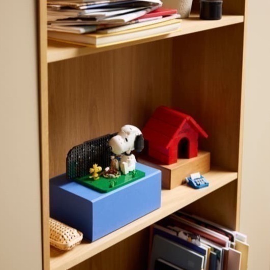 【椅比呀呀|高屏2250】LEGO 樂高 21368 IDEAS 花生漫畫：史努比的狗屋 Peanuts Snoopy-細節圖5