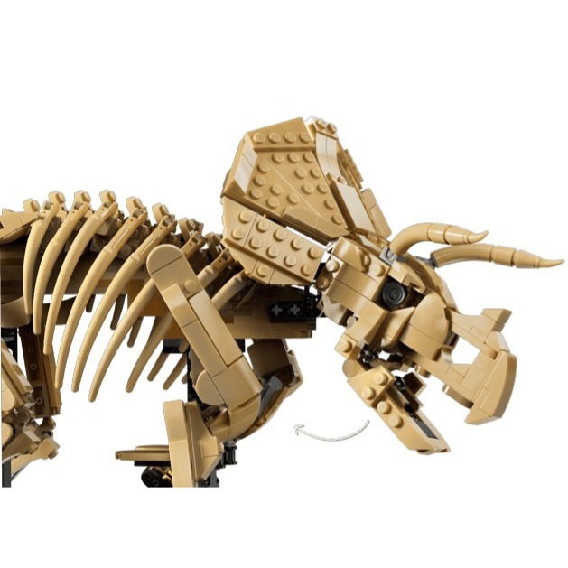 【椅比呀呀|高屏2800】LEGO 樂高 77985 恐龍化石：三角龍 Fossils Triceratops-細節圖6