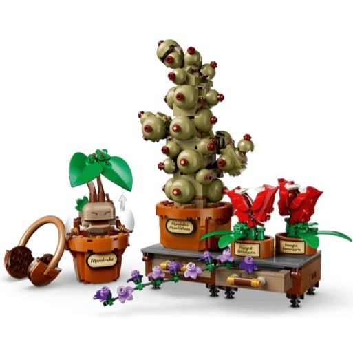 【椅比呀呀|高屏2600】LEGO 樂高 76474 霍格華茲藥草學植物Hogwarts Herbology Plant-細節圖4